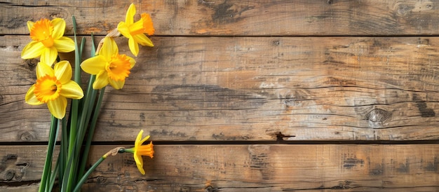 Narzissenblüten auf einem hölzernen Hintergrund mit Platz für Text