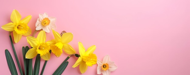 Foto narzissenblumen im hintergrund