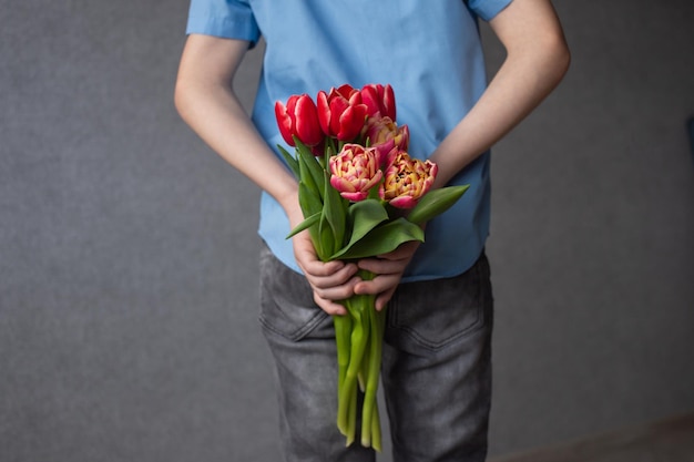 Nas mãos de uma criança estão tulipas vermelhas coloridas Menino escondendo flores nas costas