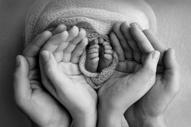 Nas palmas das mãos do pai, a mãe segura o pé do bebê recém-nascido. Pés do recém-nascido nas palmas dos pais. Fotografia de estúdio dos dedos dos pés, calcanhares e pés de uma criança. Preto e branco.