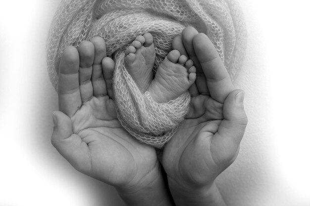 Nas palmas das mãos do pai, a mãe segura o pé do bebê recém-nascido. Pés do recém-nascido nas palmas dos pais. Fotografia de estúdio dos dedos dos pés, calcanhares e pés de uma criança. Preto e branco.