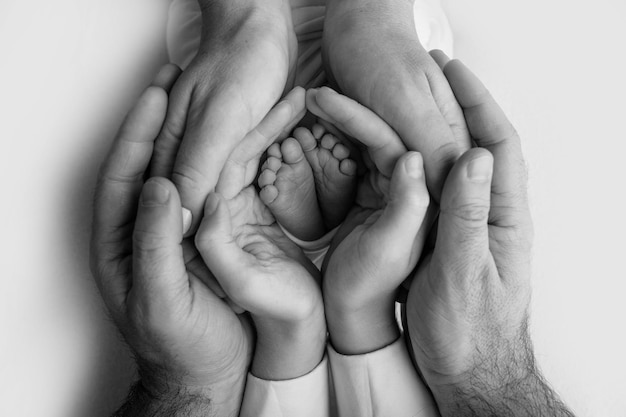 Nas palmas das mãos do pai, a mãe segura o pé do bebê recém-nascido. pés do recém-nascido nas palmas dos pais. fotografia de estúdio dos dedos dos pés, calcanhares e pés de uma criança. preto e branco.