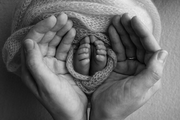 Nas palmas das mãos do pai, a mãe segura o pé do bebê recém-nascido. Pés do recém-nascido nas palmas dos pais. Fotografia de estúdio dos dedos dos pés, calcanhares e pés de uma criança. Preto e branco.