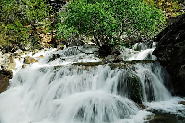 Nascente do rio guadalquivir na serra de cazorla.