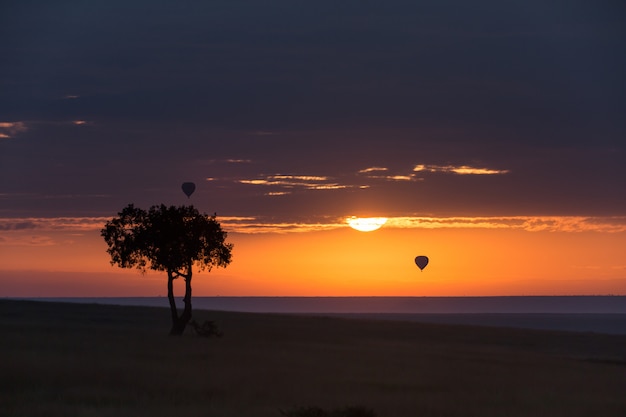 Nascer do sol africano e balões de ar quente