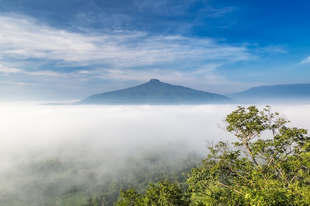 Nascer do sol com a névoa bela paisagem para relaxar na tailândia