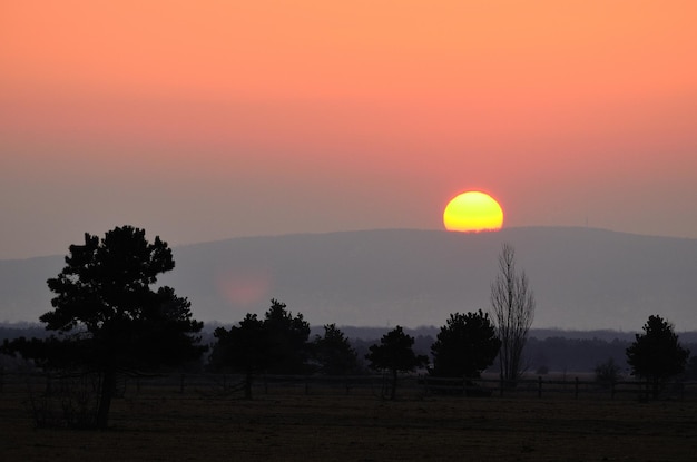 Nascer do sol com árvores e montanha