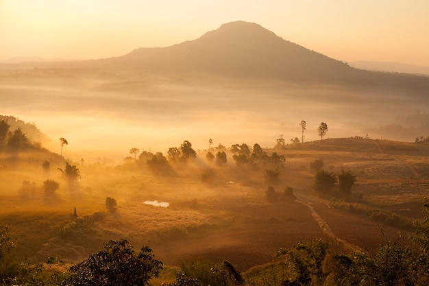 Nascer do sol da manhã enevoada em Khao Takhian Ngo View Point em Khaokho PhetchabunThailand