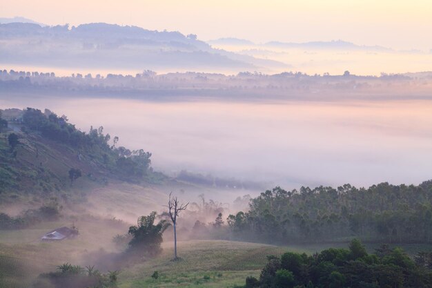 Nascer do sol da manhã enevoada em Khao Takhian Ngo View Point em Khaokho PhetchabunThailand