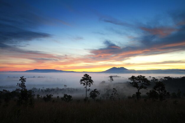 Nascer do sol da manhã enevoada na floresta no Parque Nacional Thung Salang Luang PhetchabunThailand