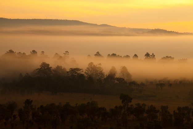 Nascer do sol da manhã enevoada na montanha no Parque Nacional Thung Salang Luang PhetchabunThailand