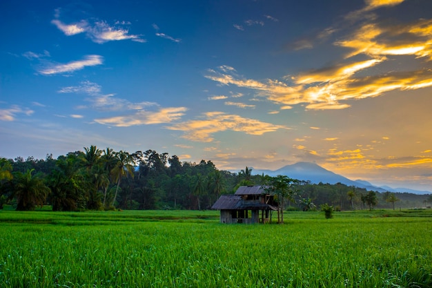 nascer do sol da manhã na cordilheira north bengkulu, indonésia