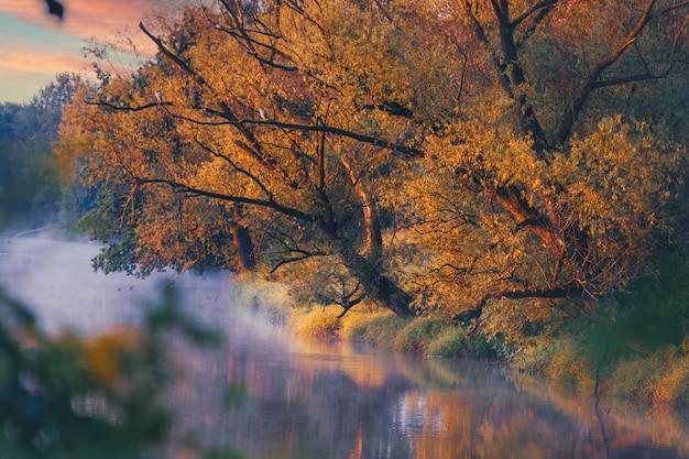 Foto nascer do sol de outono sobre um rio selvagem na polônia