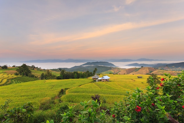 Nascer do sol em terraços de arrozal em Mae-Jam Village, província de Chiang Mai, Tailândia