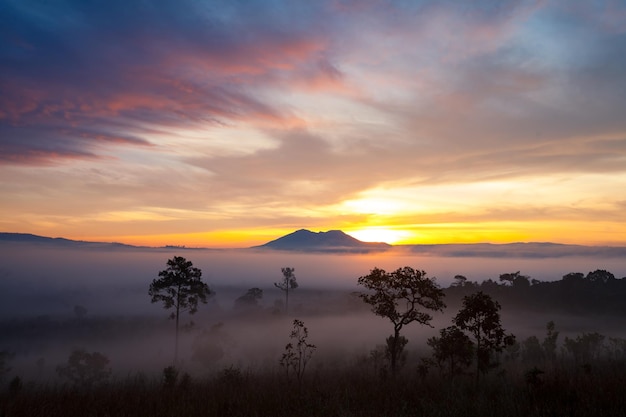 Nascer do sol enevoado da manhã no Parque Nacional Thung Salang Luang PhetchabunTailândia