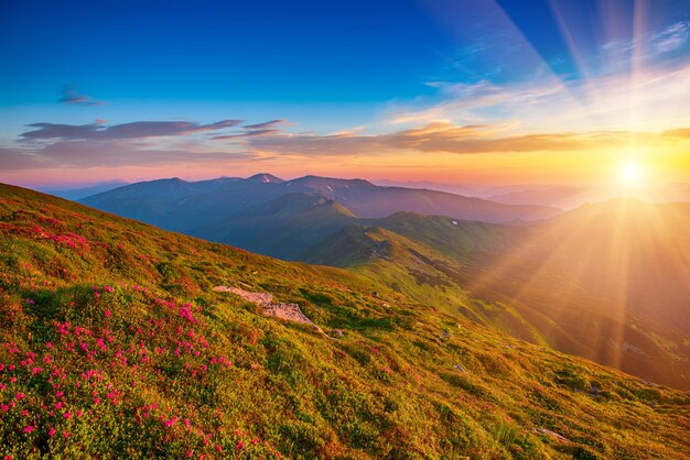 Nascer do sol incrível da montanha