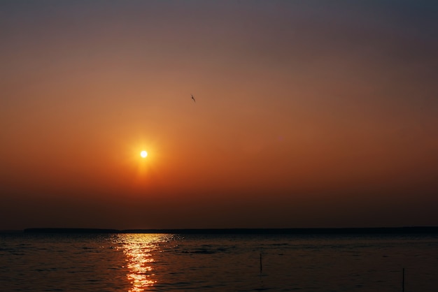 Nascer do sol laranja sobre o rio com pássaro voando e sol brilhante sobre a água