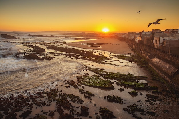 Nascer do sol na cidade portuária de essaouira vista da costa atlântica