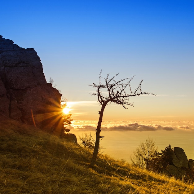 Nascer do sol na montanha da Crimeia com nuvens de árvores e fundo de viagem natural do céu azul