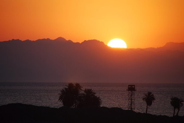 Nascer do sol no Egito com palmeiras à beira-mar e montanhas