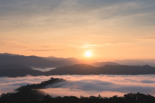 Nascer do sol sobre grandes montanhas e névoa na floresta no inverno.