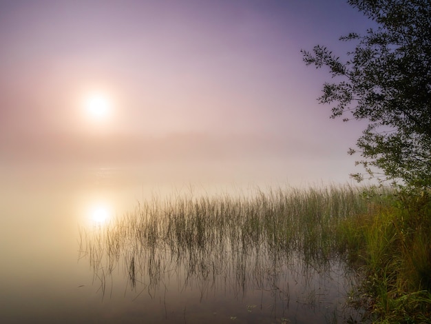 Nascer do sol sobre um lago enevoado. Paisagem de verão. Natureza selvagem