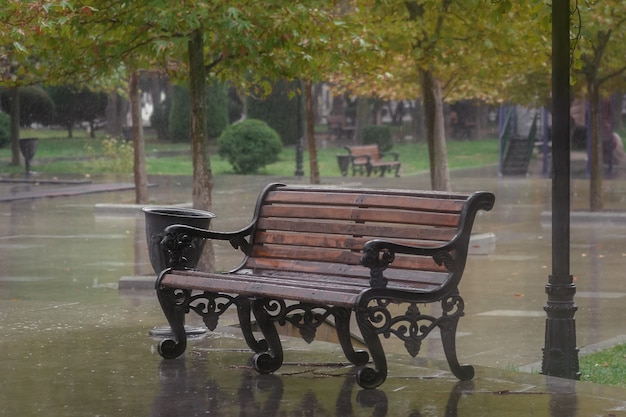 Nassbank unter dem Regen im Stadtpark