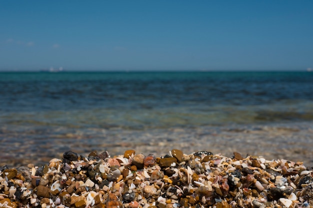 Nasse Seekiesel auf einem Sommerstrand