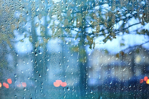 nasses glas blick auf zweige park herbst, abstrakter hintergrund fällt auf den fensterabend november