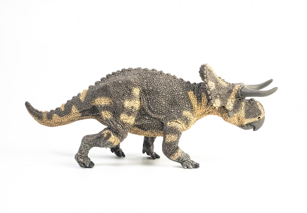 Nasutoceratops dinosaur