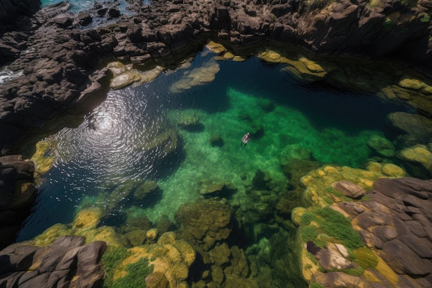 Natação graciosa em piscinas rochosas dos Açores