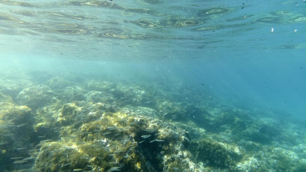 Natação subaquática com fundo de areia na lagoa azul-turquesa