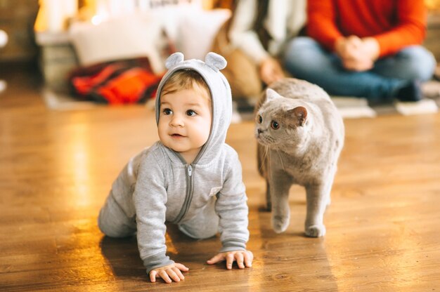 Natal bebê e gato