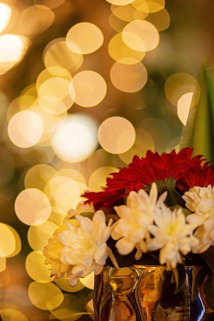 Foto natal bokeh guirlanda brilhante suculento fundo flores em foco principal