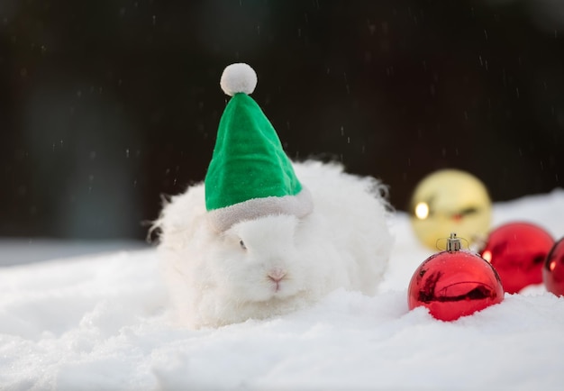 Natal, Papai Noel coelho branco na neve