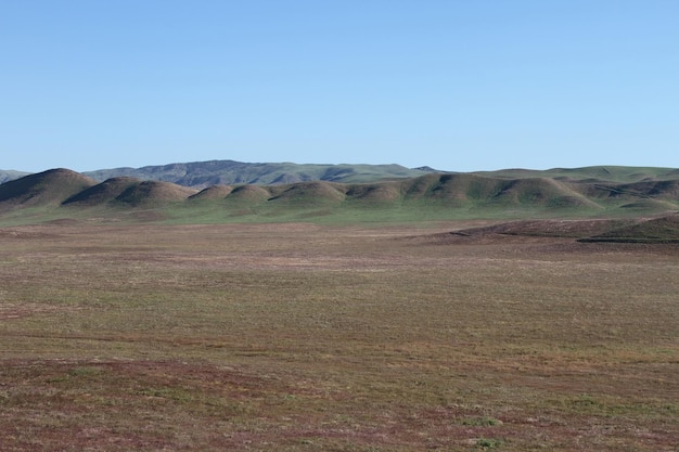 Nationaldenkmal Superbloom Carrizo Plain