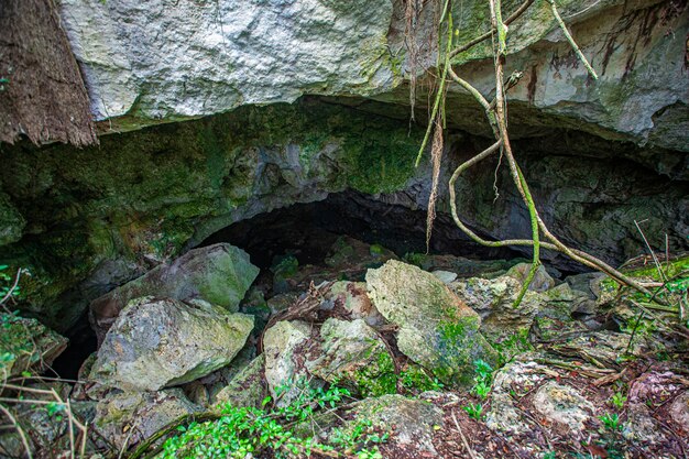 Nationalpark Cotubanama in der Dominikanischen Republik, Abschnitt Padre Nuestro mit typischer Vegetation im Inneren und Steinbrüchen wie der Cueva de Padre Nuestro und Cueva del Chico