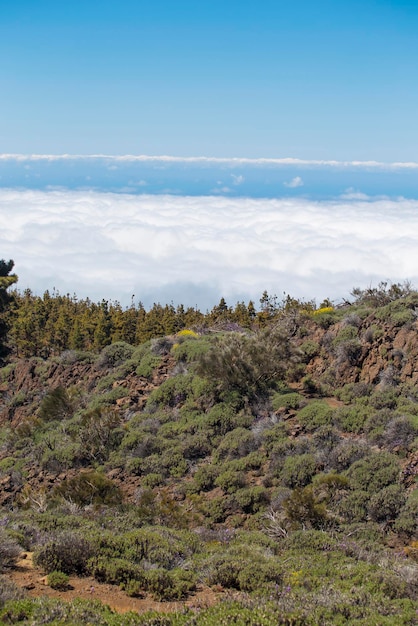 Nationalpark El Teide