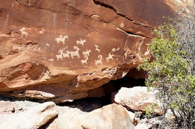 Nationalpark Petroglyph Canyonlands