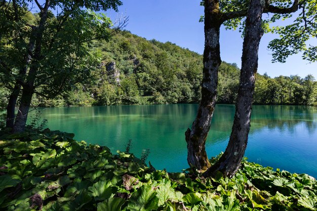 Nationalpark Plitvicer Seen Kroatien