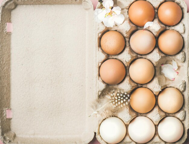 Natürlich gefärbte Eier im Karton für Osterkopienraum