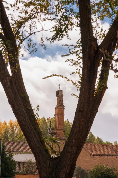 Natürlich gerahmter Blick durch die Bäume auf einen Kirchturm mit Storchennest