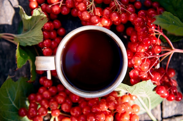 Natürlich gesunder Bio-Tee mit frischen Schneeballbeeren in natürlichem Sonnenlicht Herbstästhetik