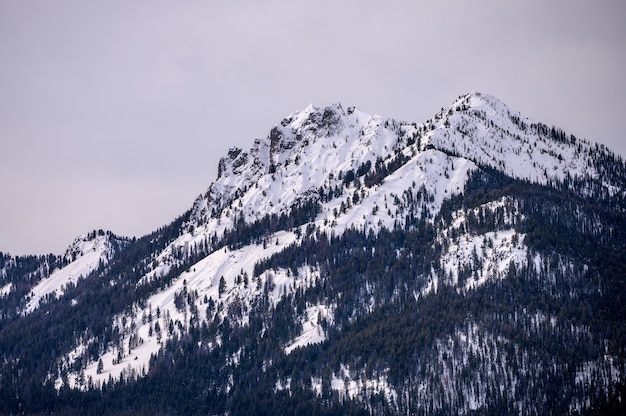 natürliche Berge im schönen Winter