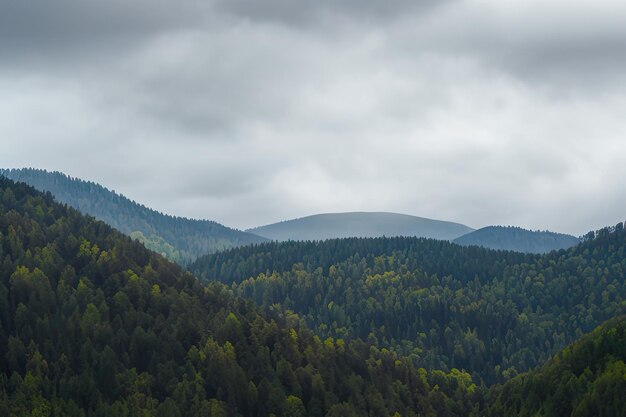 Natürliche Berglandschaft nach dem Regen