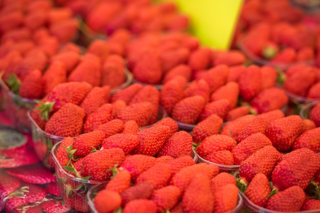 Natürliche Bio-Erdbeeren in Kisten auf einem Bauernmarkt