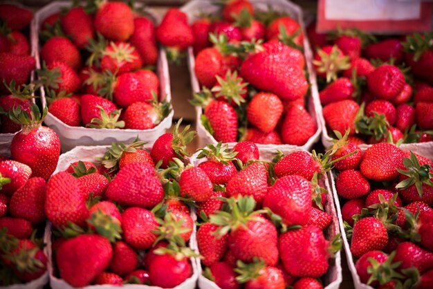 Natürliche Bio-Erdbeeren in Kisten auf einem Bauernmarkt