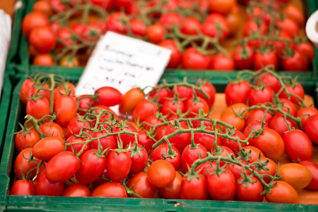 Natürliche Bio-Tomaten in Kisten auf dem Bauernmarkt