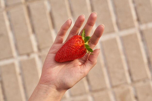 Natürliche Erdbeere in der Draufsicht der Hand des Mädchens