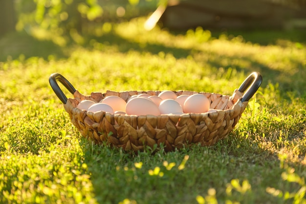 Natürliche frische Bio-Bauernhof Eier im Korb